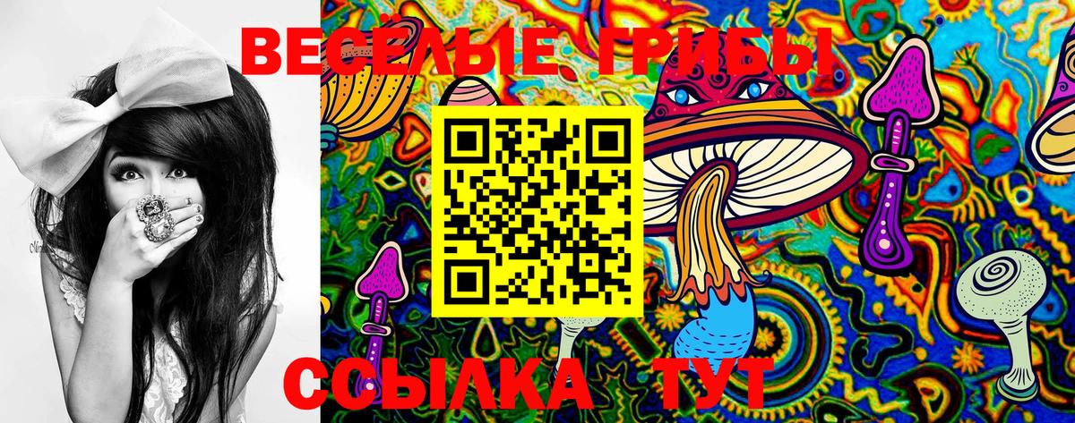 Псилоцибиновые грибы мицелий Тельмана